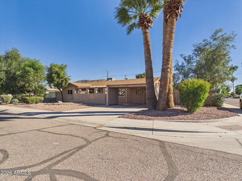 CAM03379G0-PR0185-STILL018