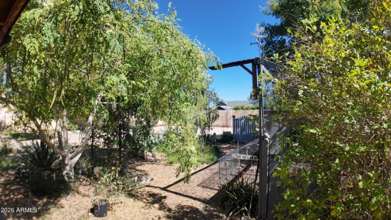 dji_mimo_20260303_125052_20260303125052_