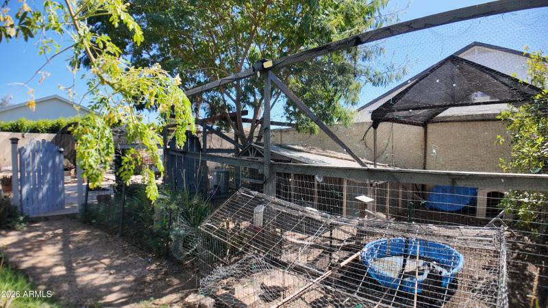 dji_mimo_20260303_125116_20260303125117_