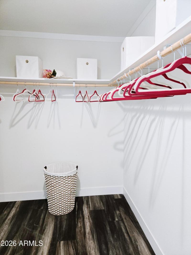 20260219_164148(0)-VSCO