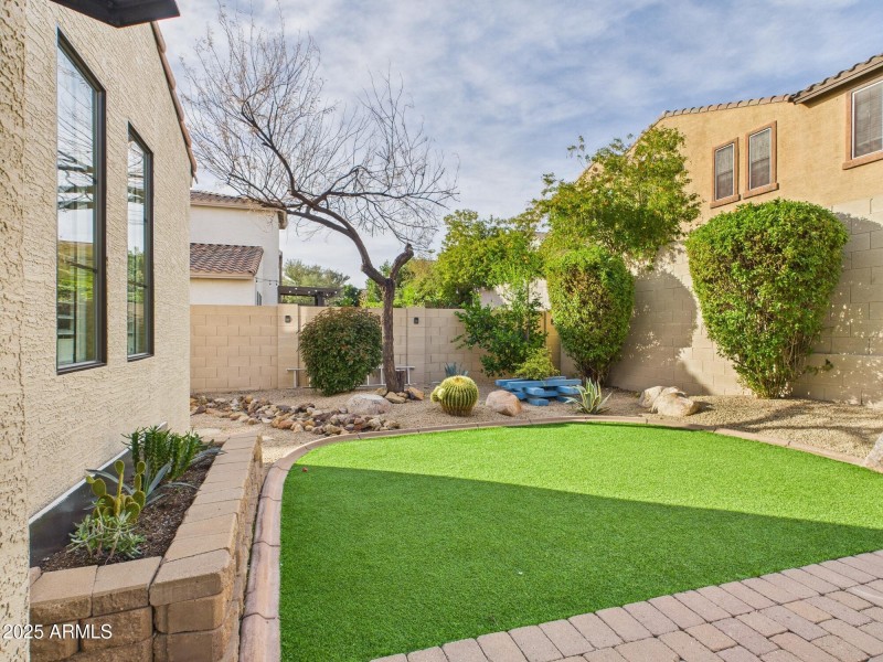 Best back yard in subdivision