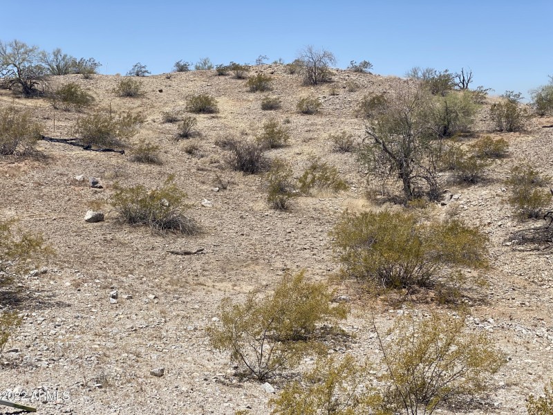 Photo May 13, 11 33 52 AM