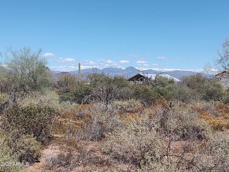 Build Your Dream Home Here