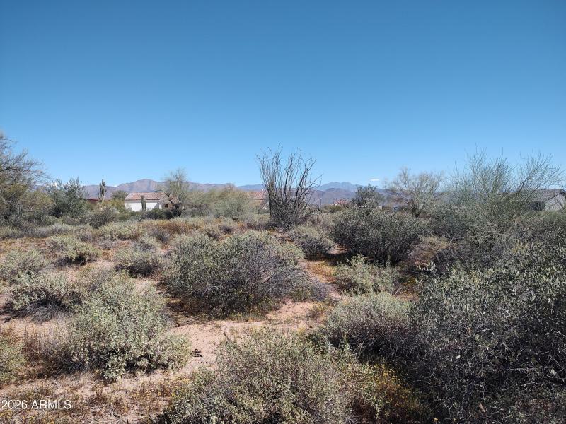 Endless Possibilities