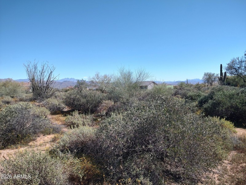 Quiet Country Living