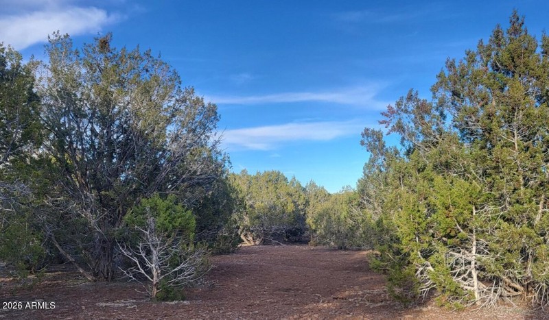 57a71434-2701-4d98-9ac5-b837f0dad7f1