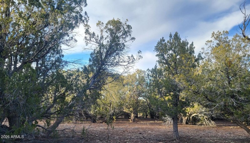 185083a9-8716-4c24-8e6b-be015ea88fe2