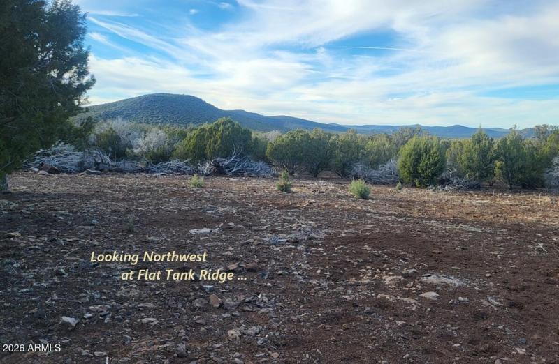 b65b3500-ea16-4525-abbb-4ddc6220dfcd