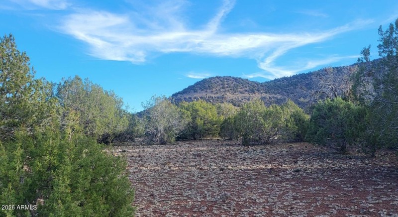 c117aa16-1444-4b61-a6f2-1c697f1e544c