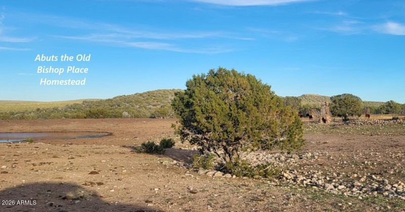 ed675349-a015-44a1-ad7d-66fdf1f964e5