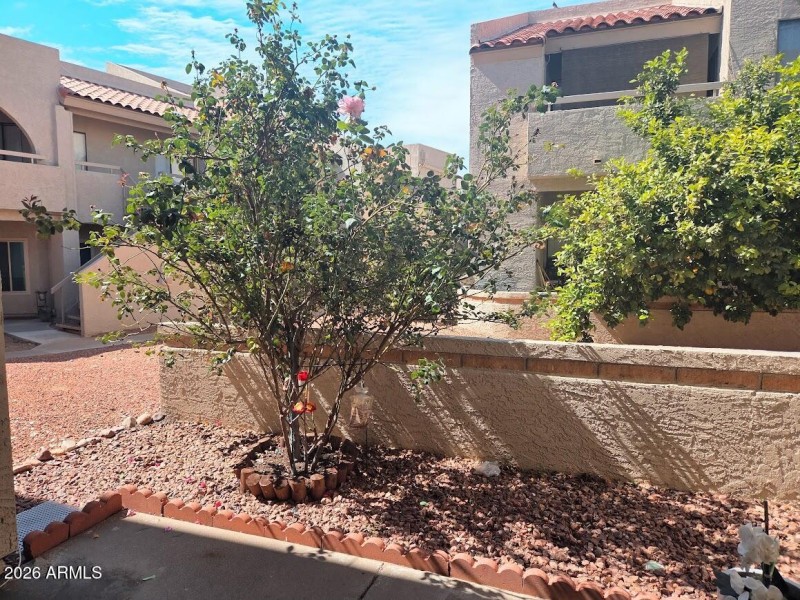 Flower bed in back patio