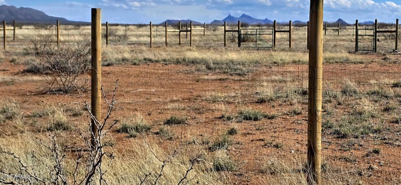 Lot 1 North Night Sky