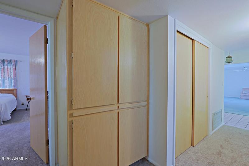 Hall Cabinets and Closet