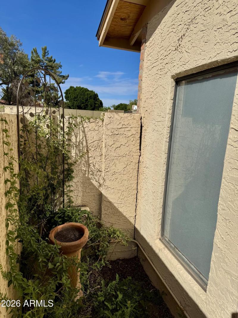 Garden Shower_Kenwood