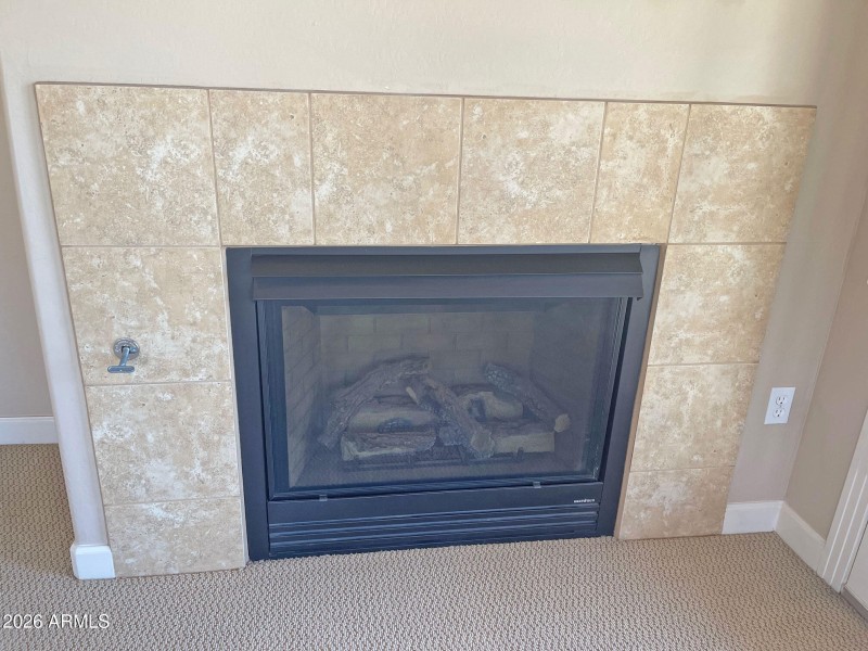 GAS-FIREPLACE