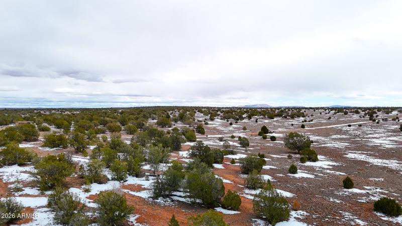 dji_fly_20260219_144940_0378_17715902923