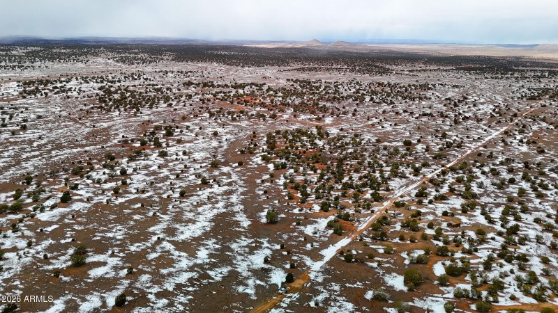 dji_fly_20260219_144810_0362_17715902978