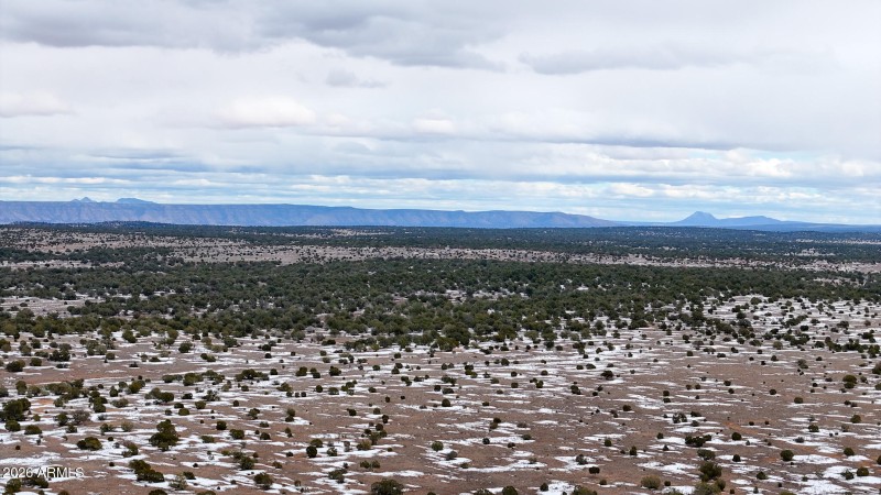 dji_fly_20260219_144904_0372_17715902942