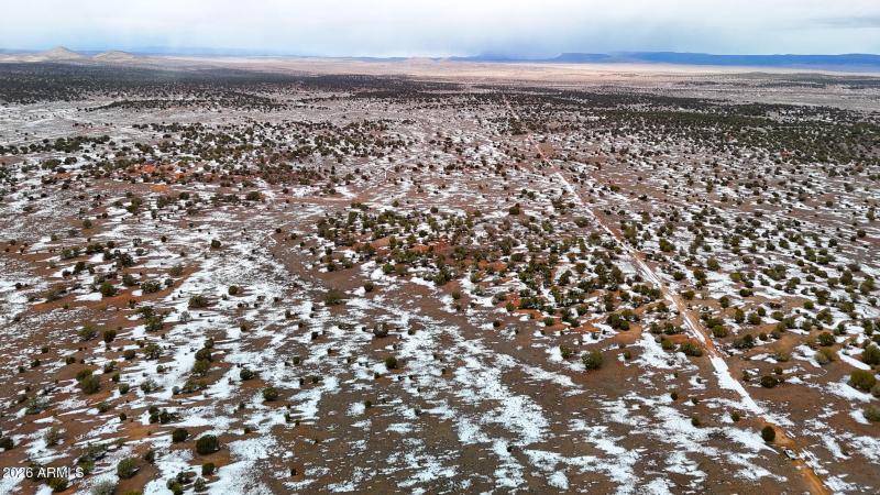 dji_fly_20260219_144834_0367_17715902960