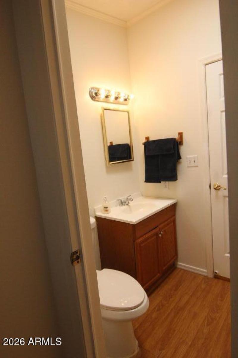 Main Bath Single Sink