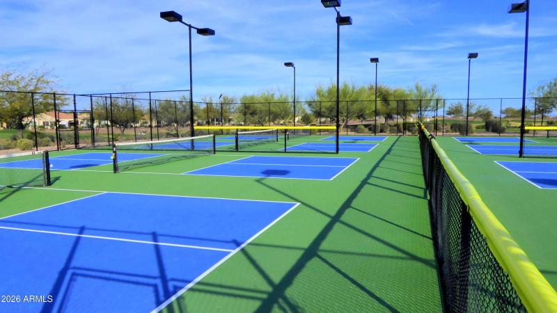 Sun City 15 Pickleball