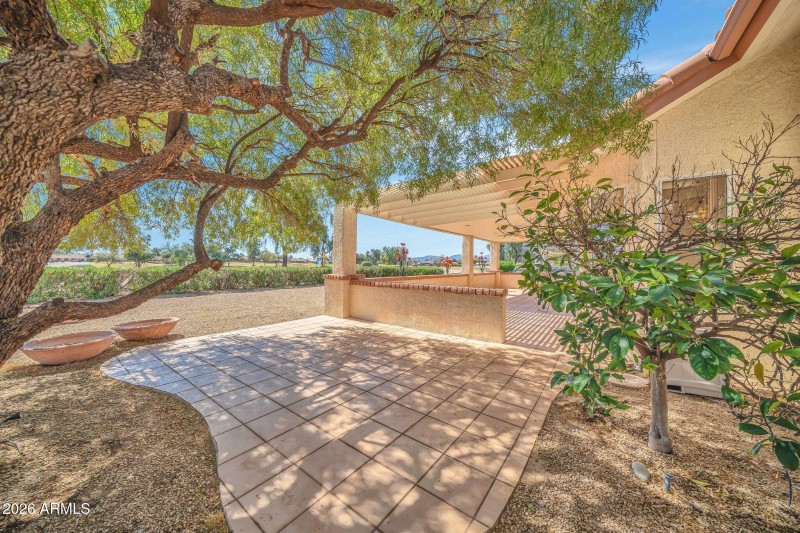 BEAUTIFUL SHADE TREE