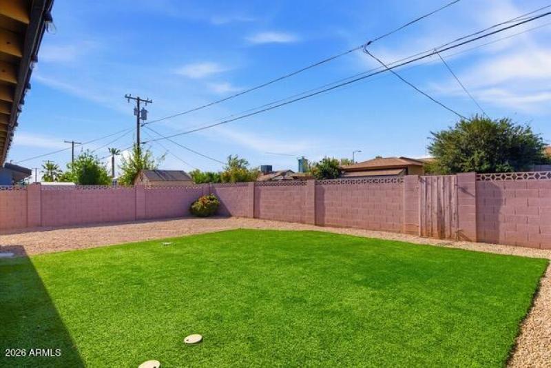 McKinley backyard