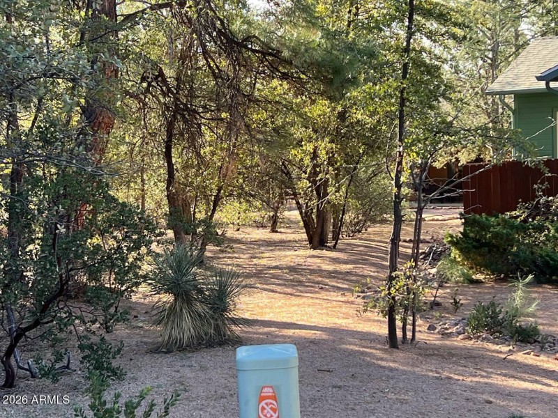 photo_5_2026-03-07_16-30-31