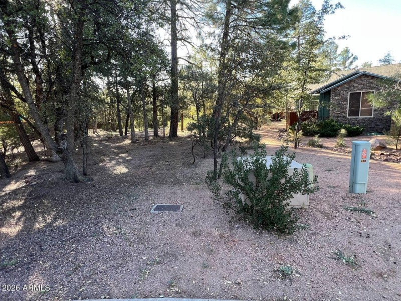 photo_3_2026-03-07_16-30-31