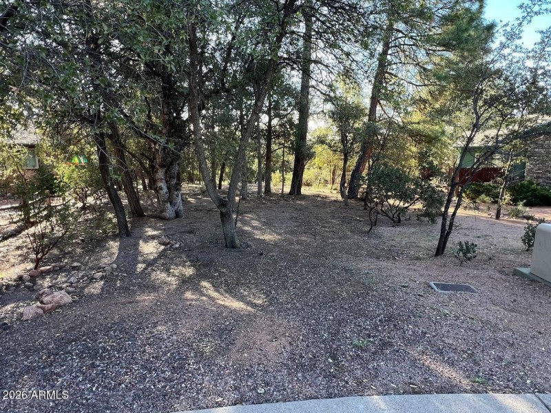 photo_2_2026-03-07_16-30-31