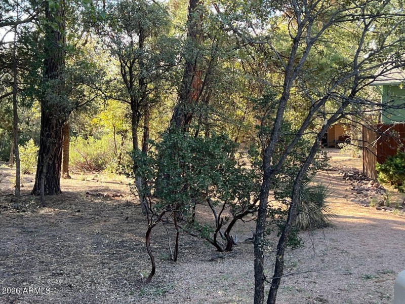 photo_6_2026-03-07_16-30-31