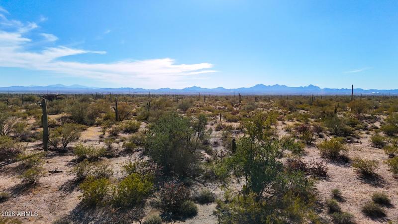 dji_fly_20260302_155232_0590_17724996627