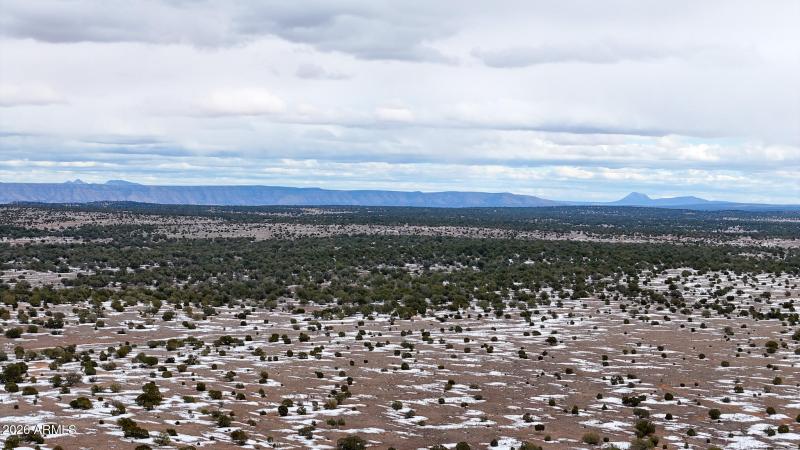 dji_fly_20260219_144904_0372_17715902942