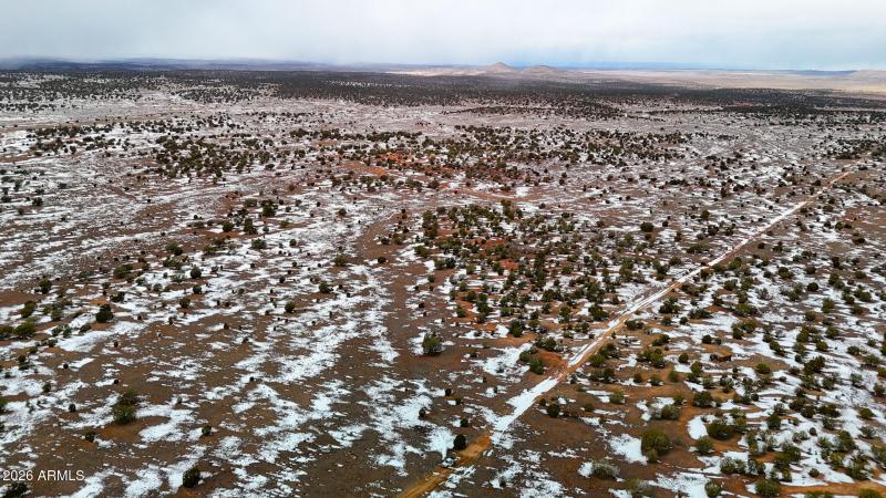 dji_fly_20260219_144810_0362_17715902978