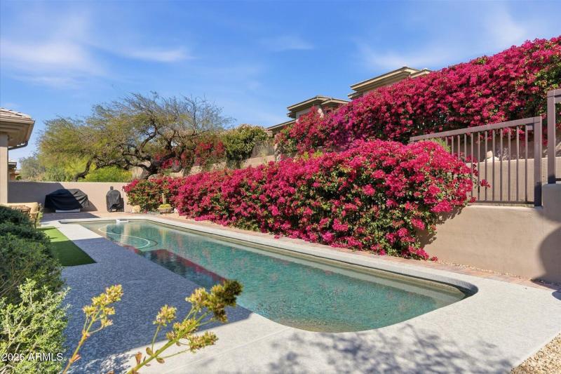 Pool and Landscaping