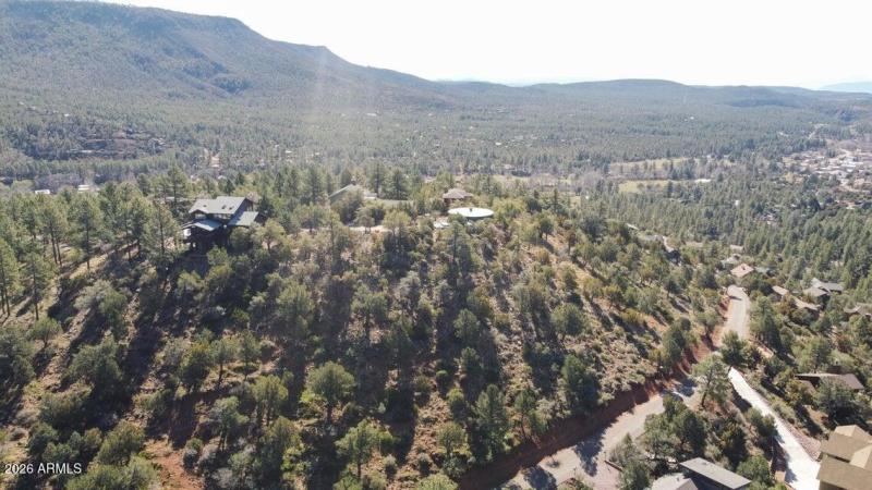 Pine Views and Neighbors