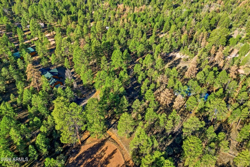 2090KnottyPineCir-HeberOvergaard-AZ-6