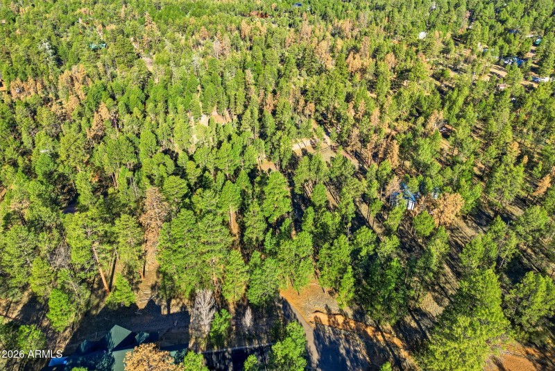 2090KnottyPineCir-HeberOvergaard-AZ-7