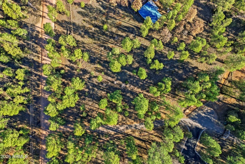 2090KnottyPineCir-HeberOvergaard-AZ-8