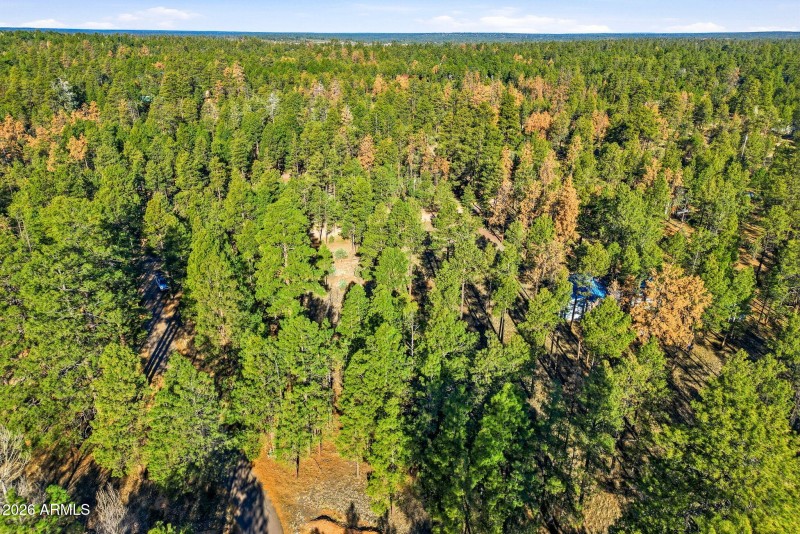 2090KnottyPineCir-HeberOvergaard-AZ-11