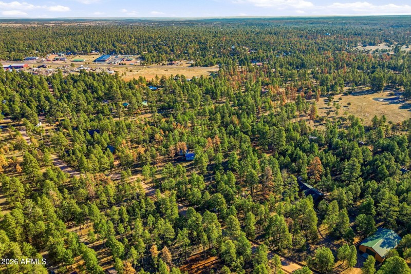 2090KnottyPineCir-HeberOvergaard-AZ-13