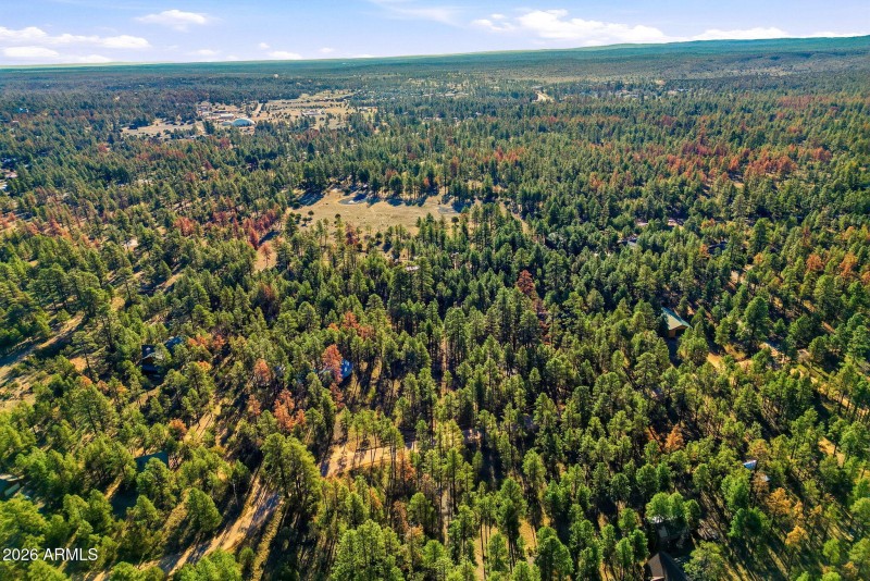 2090KnottyPineCir-HeberOvergaard-AZ-14