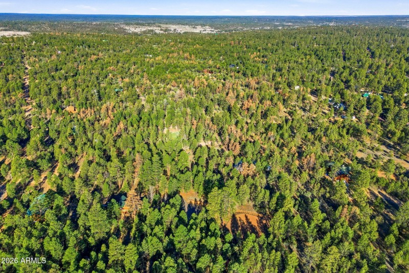 2090KnottyPineCir-HeberOvergaard-AZ-15