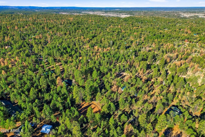 2090KnottyPineCir-HeberOvergaard-AZ-16