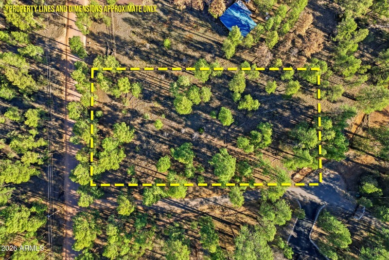 2090KnottyPineCir-HeberOvergaard-AZ-17