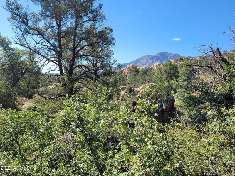 Granite Mountain Views