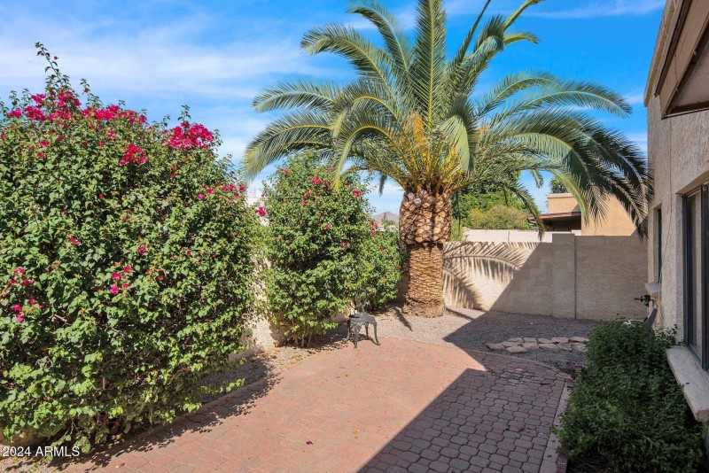 10460 E Fanfol Lane, Patio 5