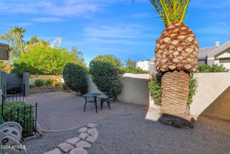 10460 E. Fanfol, Backyard 2