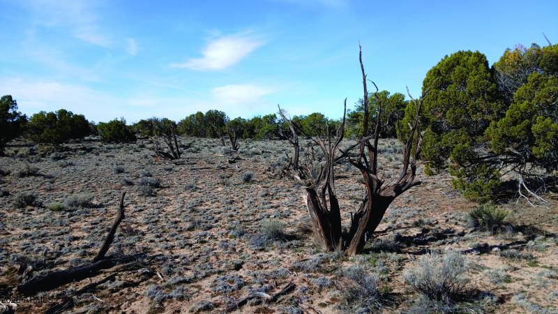 206-14-382 NE corner facing SW corner.jp