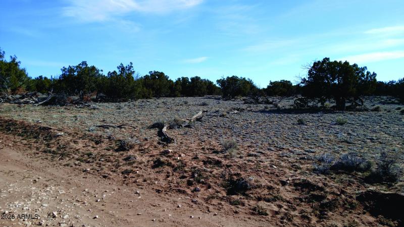 206-14-382 NE view from NE corner.jpg